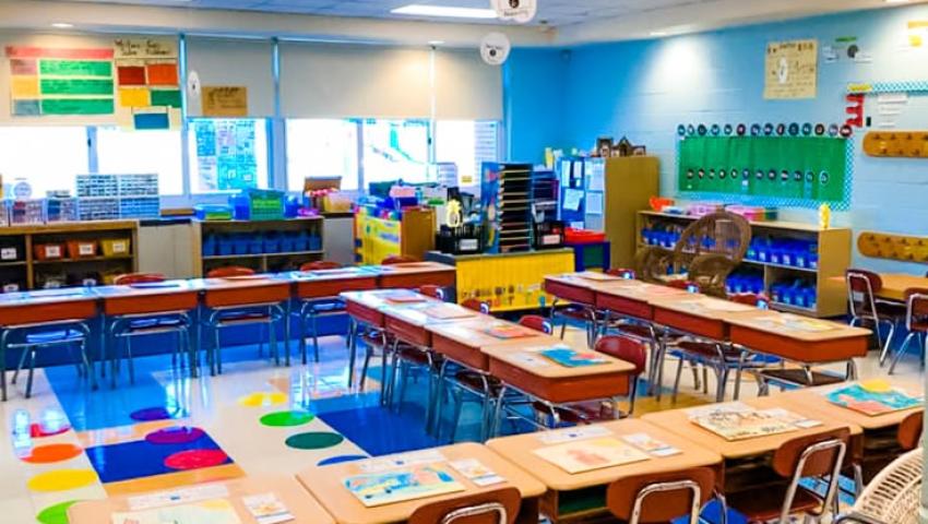 School Setup & Organization